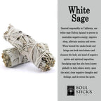 White Sage Mini Smudge Gift Set